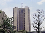 2_SHIZUOKAkentyou009.jpg
