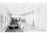3_pola-009.jpg