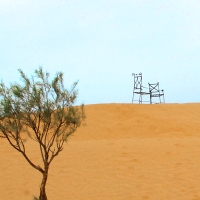Y-2_desertchair_s.jpg